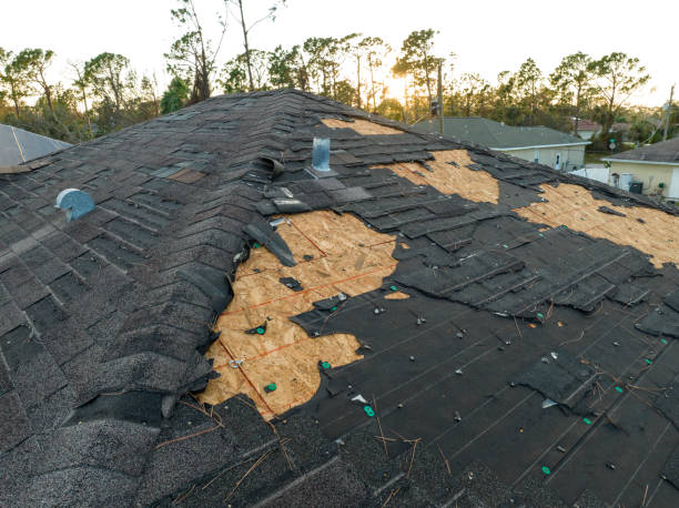 Best Asphalt Shingle Roofing  in Maltby, WA